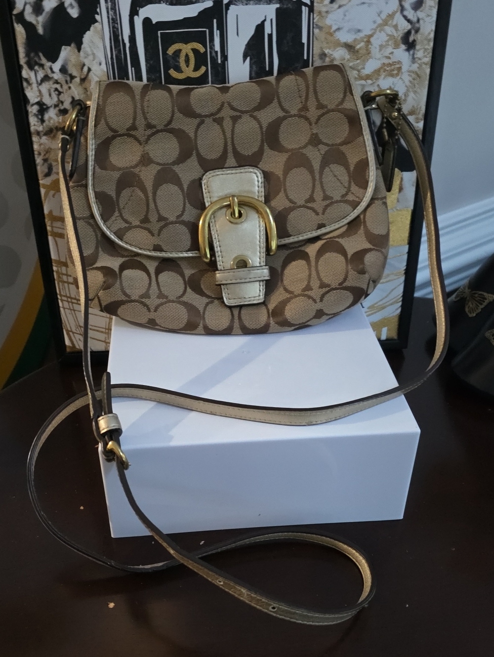 Coach Soho Signature Canvas Saddle Flap Bag